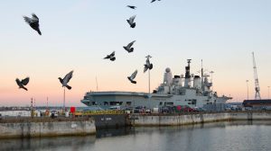 Aircraft carriers would be no match for a robot pigeon