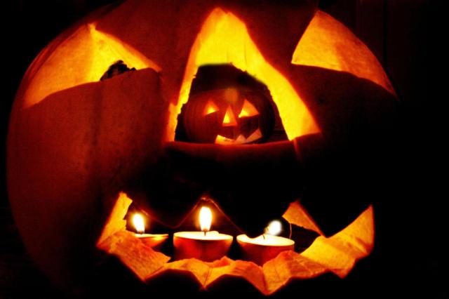 The opioid death toll: a real American horror story