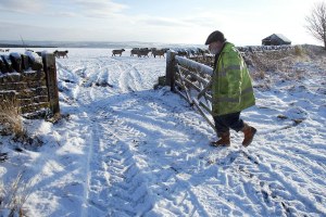The loneliness of the long-suffering British farmer