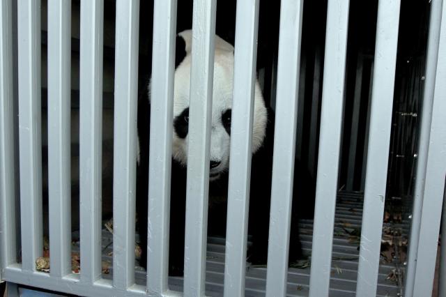 Animals. Are they so different from us?