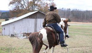 Goodbye Roy Moore. And goodbye Steve Bannon?