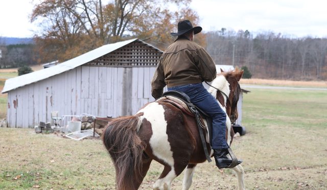 Goodbye Roy Moore. And goodbye Steve Bannon?