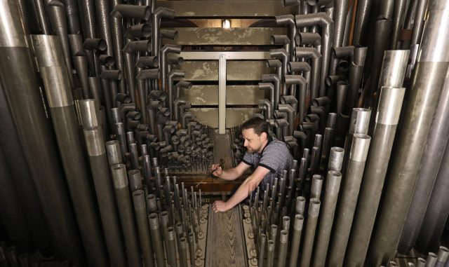 How to save your career from the march of the robots