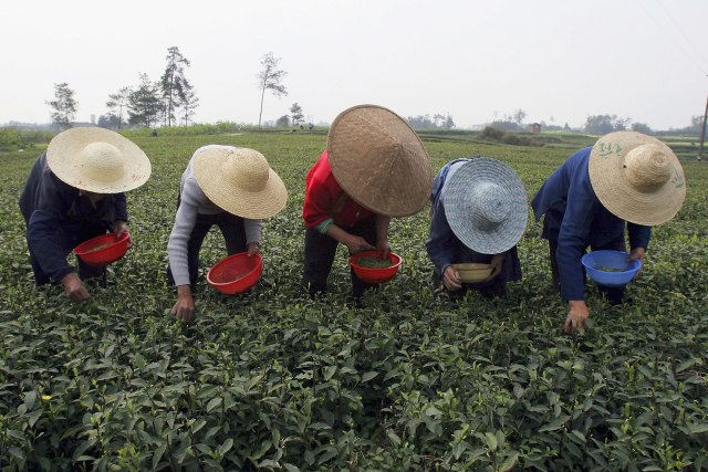 The difference a fully automated farm would make