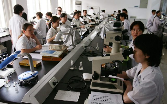 Should we edit genes to boost IQ?