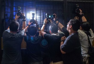 In praise of media scare stories