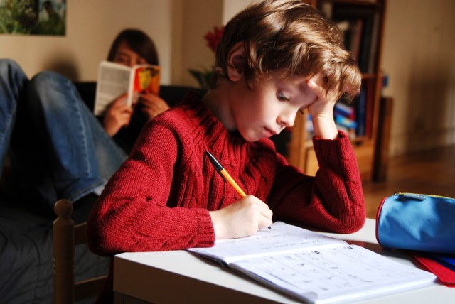 Who needs schools anyway?