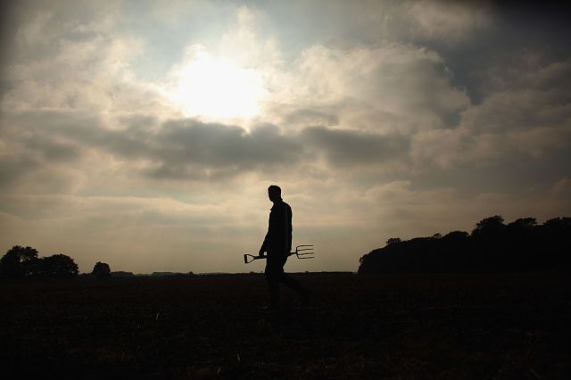 The blight of farm suicides