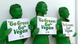 Going vegan will not save the planet