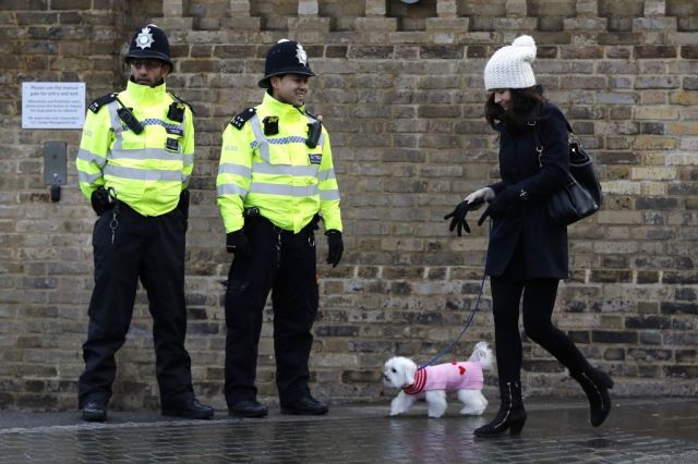 Can they really arrest you for walking the dog?