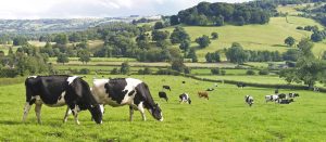 Farming is too important for Britain to be 'like Singapore'