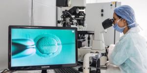 Stopping fertility treatment will also cost lives