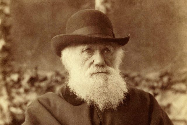 Is this the end of Charles Darwin? Credit: adoc-photos/Corbis via Getty Images