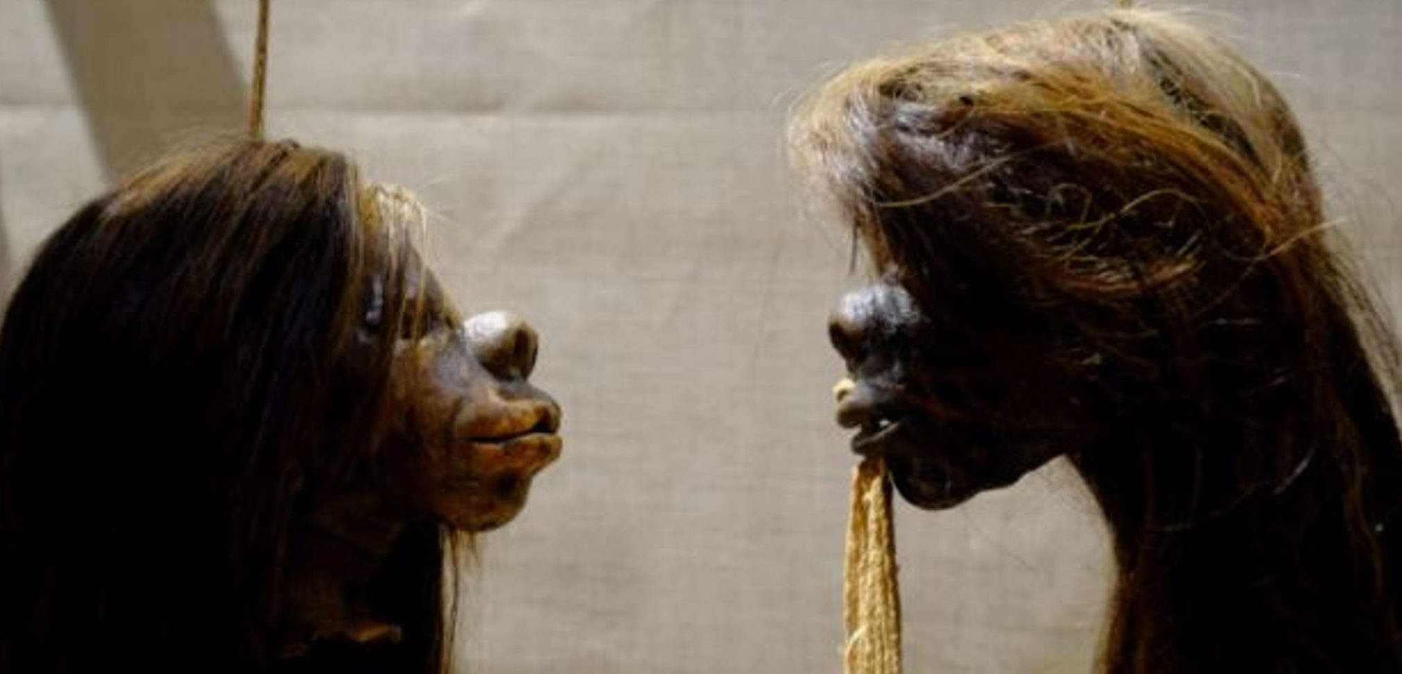 Tsantsa at Oxford University's Pitt Rivers Museum. Credit: University of Oxford