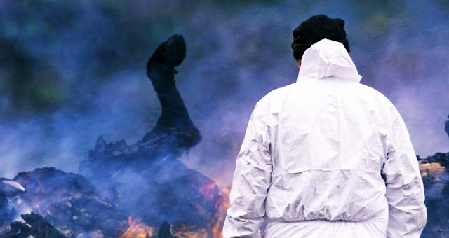 What we didn’t learn from foot and mouth