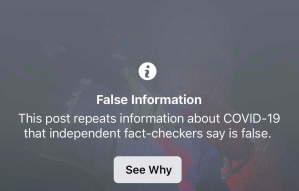 Facebook censors award-winning journalist for criticising the WHO