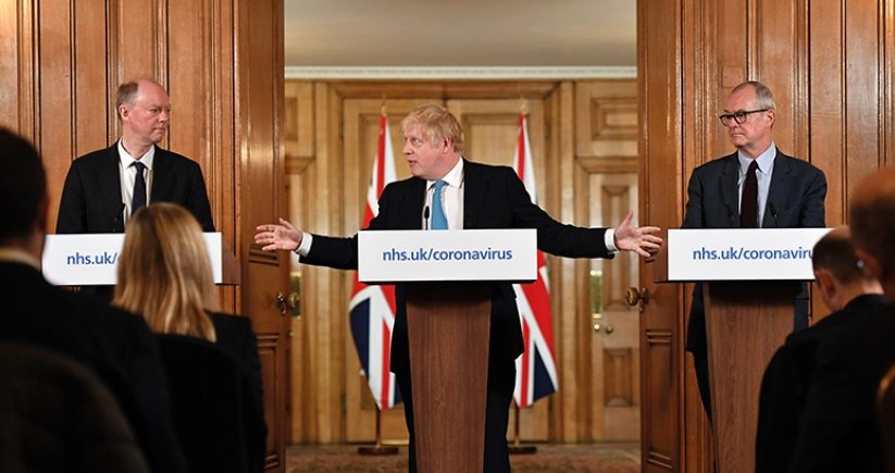 Leave it to the experts...