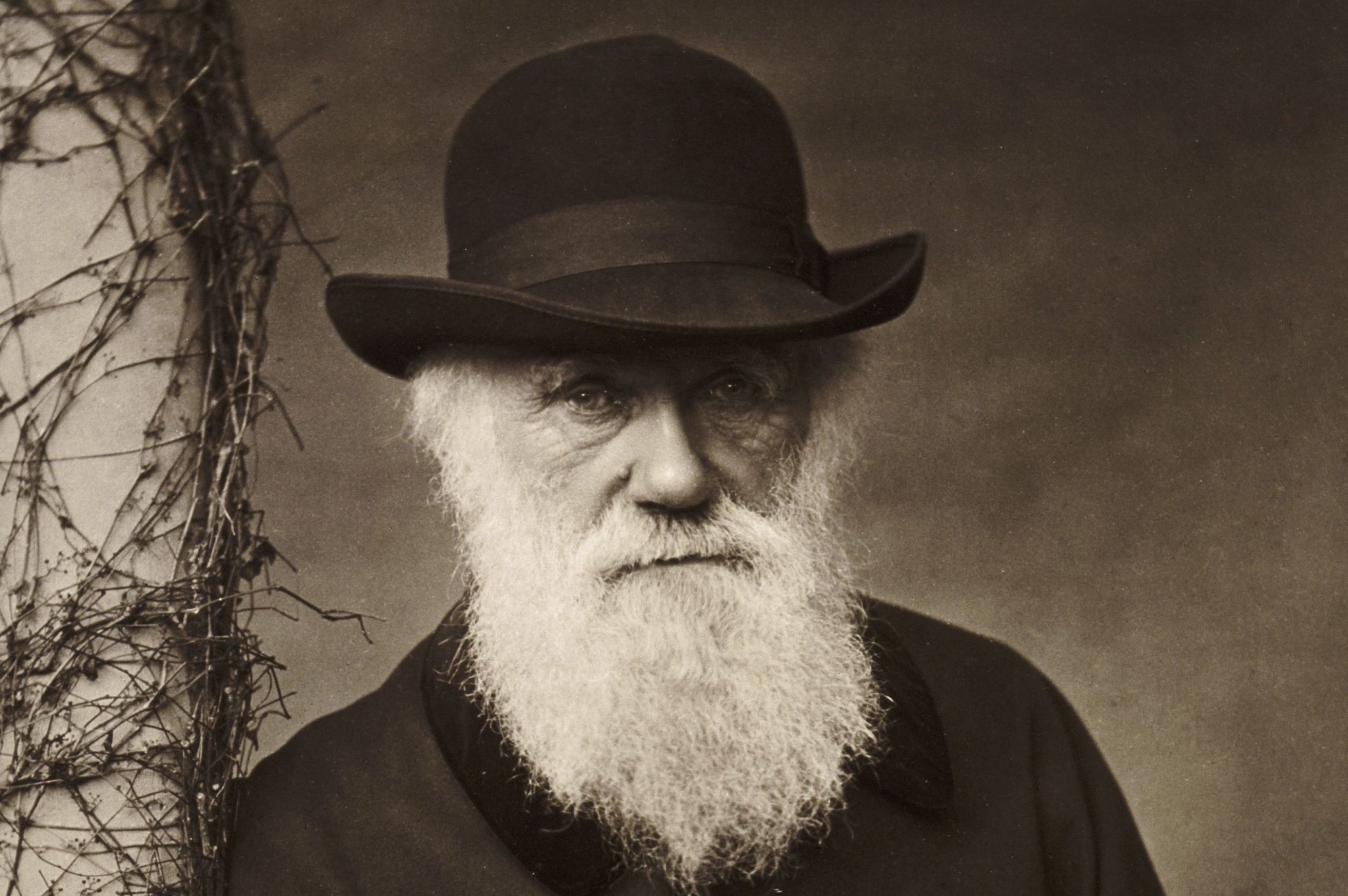 Is this the end of Charles Darwin? 