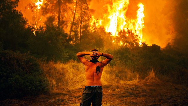 How to survive our tragedy