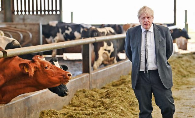 Boris Johnson is no green superhero