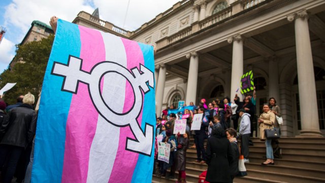 Janice Raymond: the original Terf