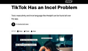 Vice News has an incel problem