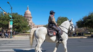 Austin pays the price for defunding the police