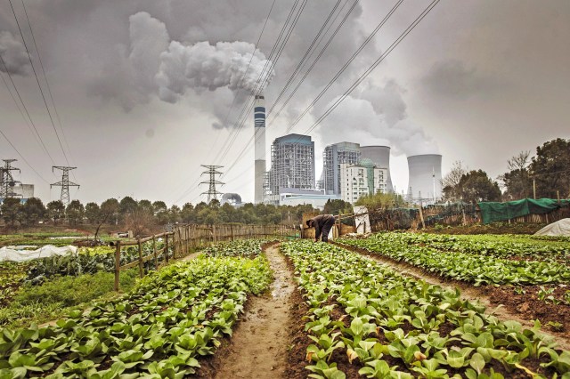 How long can humans survive?