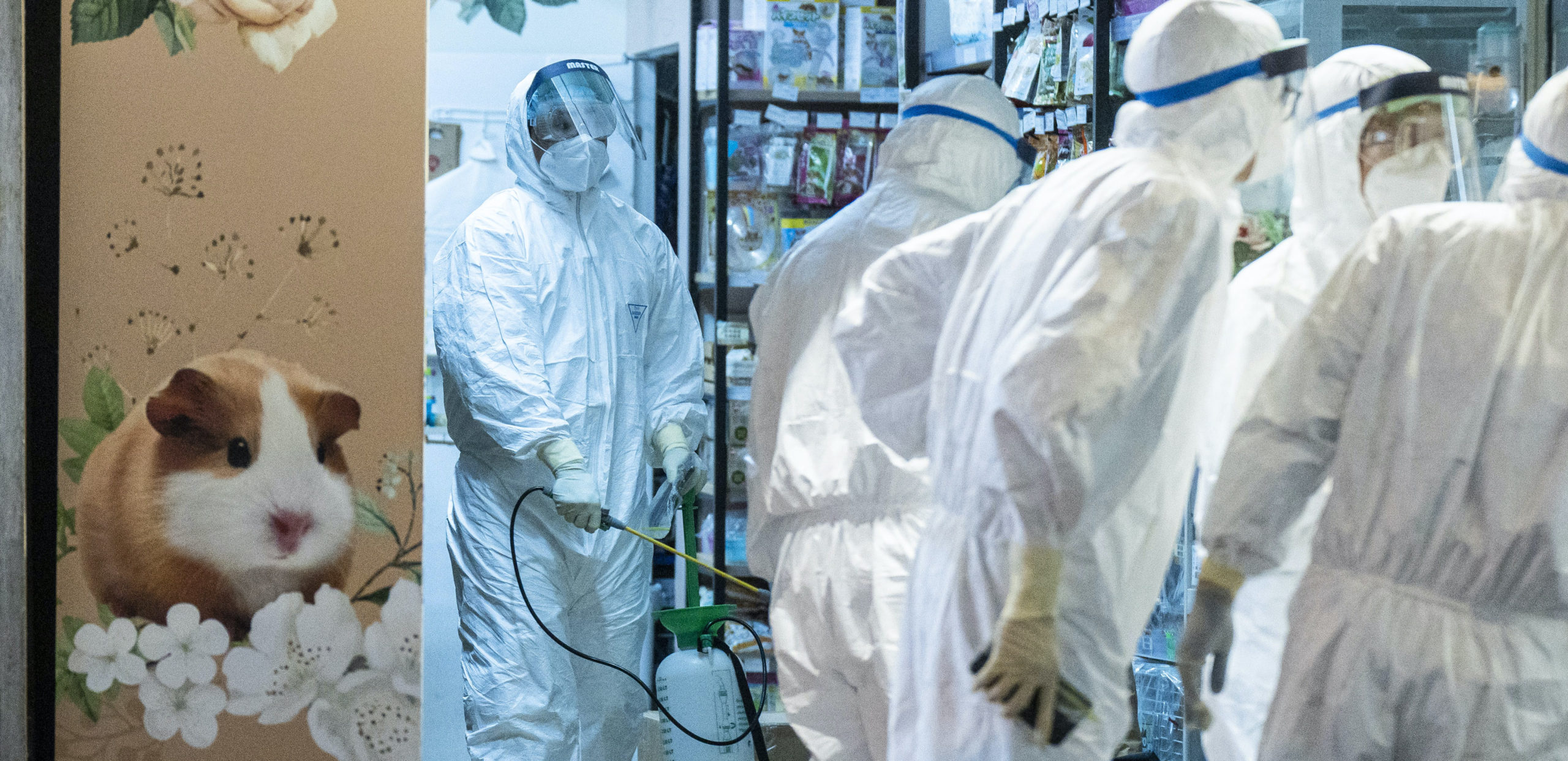 First they came for the hamsters... Credit: Getty