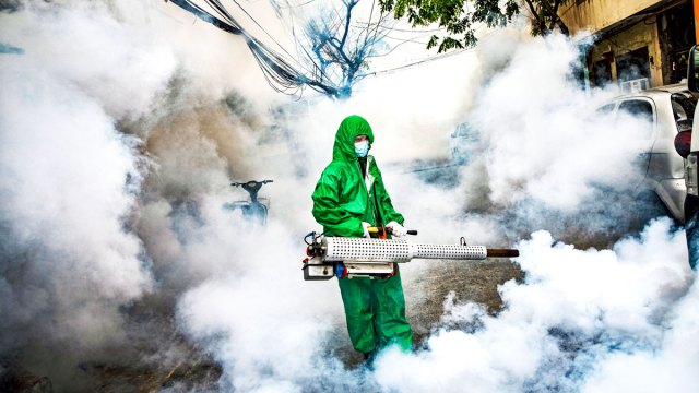 The Covid regime has fooled us all