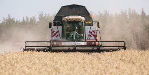 Ignore the wheat panic: the world still has plenty