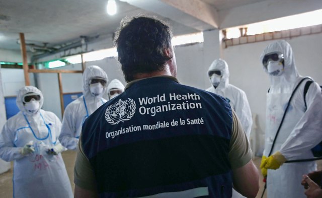 The experts are lying to you