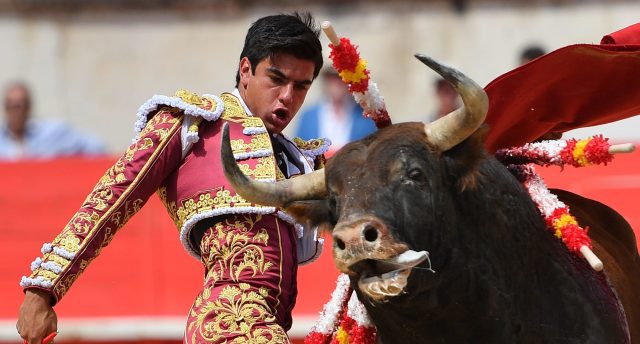 France, the last bastion of bullfighting