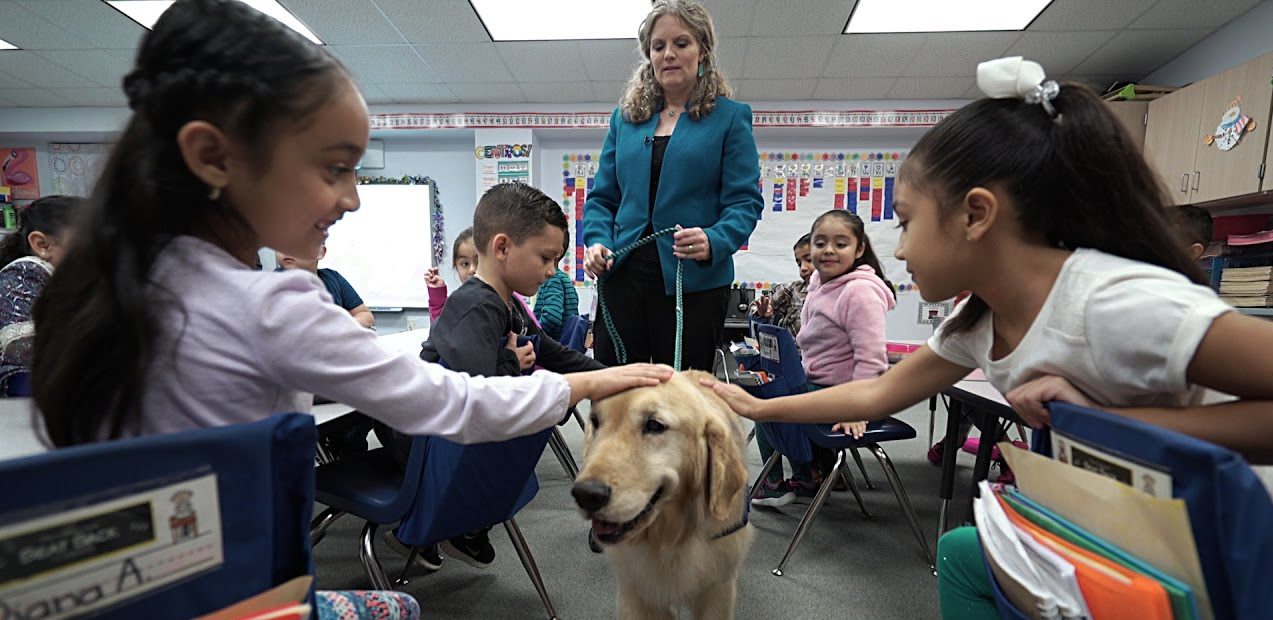 Therapy dogs won't make much difference