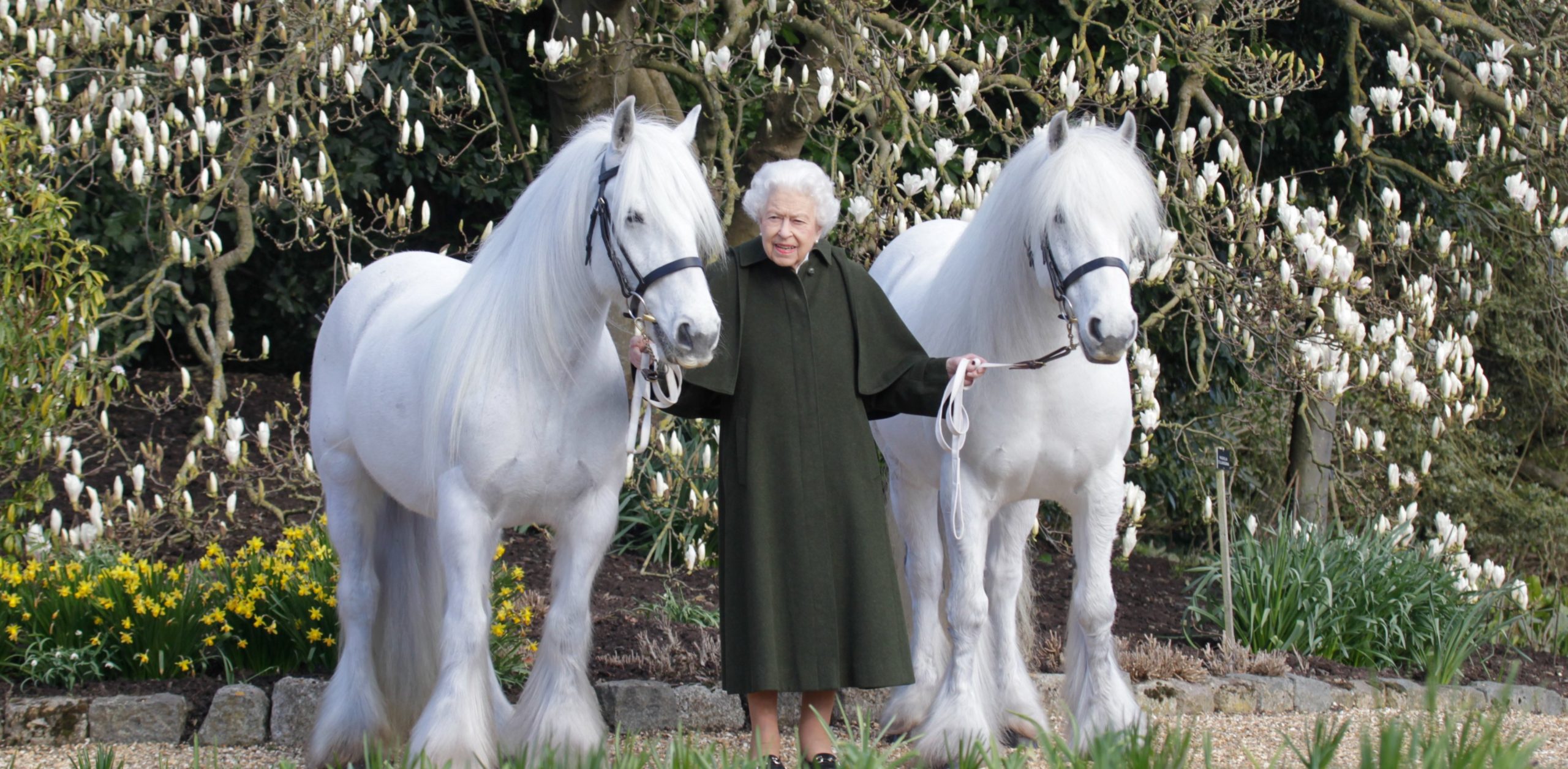 The Queen with two of her fell ponies, Bybeck Katie and Bybeck Nightingale. Credit: The Royal Family