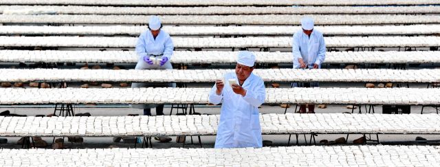 Tofu won’t save the planet