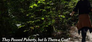 The New York Times pushes back against puberty blockers