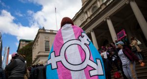 Cambridge Dictionary doesn't know what a woman is