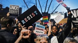 Is DEI to blame for falling college numbers?