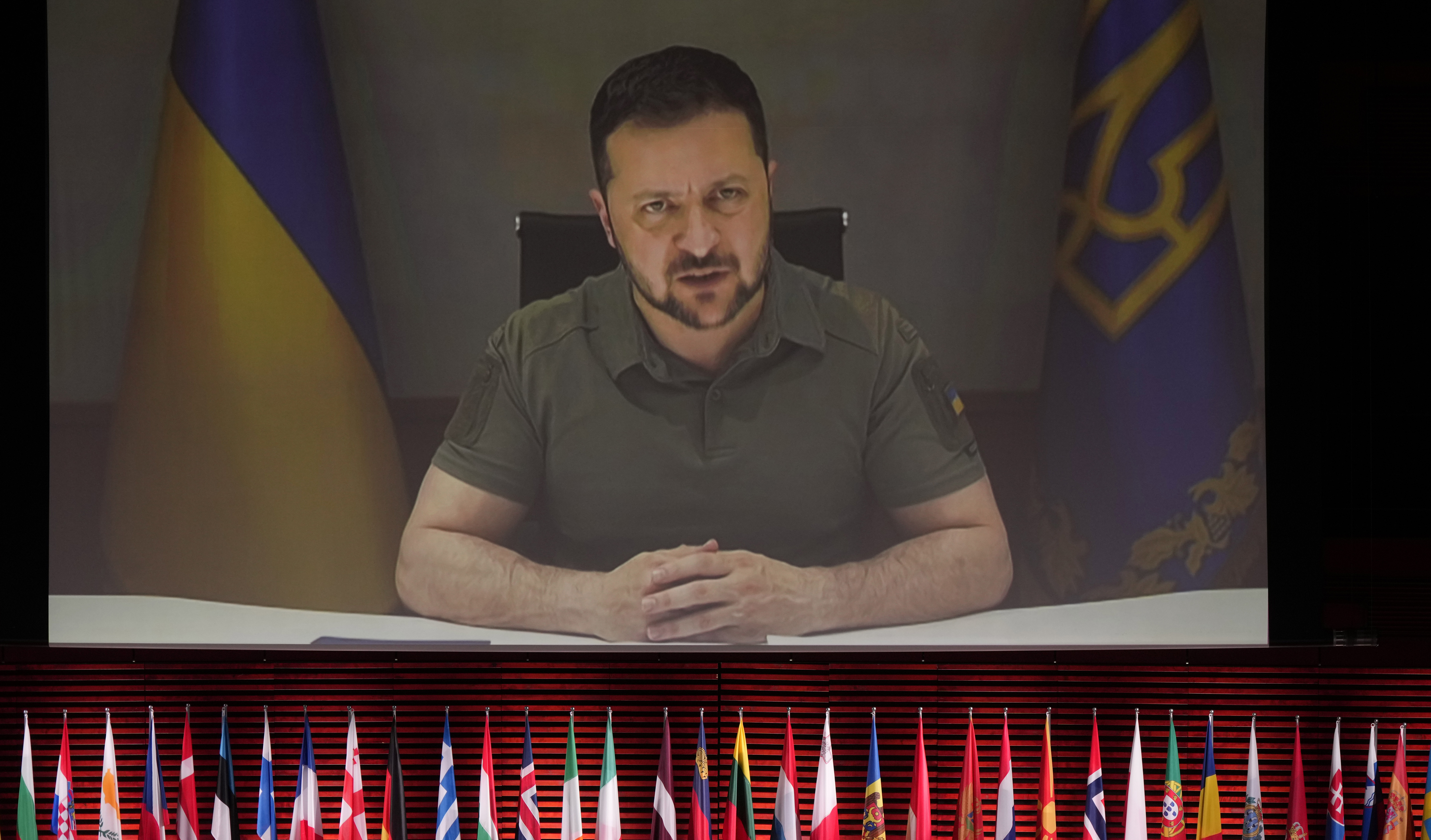 Volodymyr Zelenskyy addresses the Council of Europe. Credit: Getty