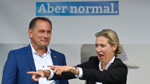 The AfD's euroscepticism won't appeal to German voters