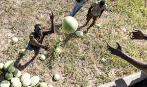 Western lockdowns still torment Africa