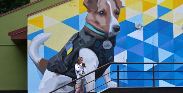 How Ukraine is using animal propaganda