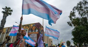 Trans Journalists Association rolls out 'refreshed' style guide