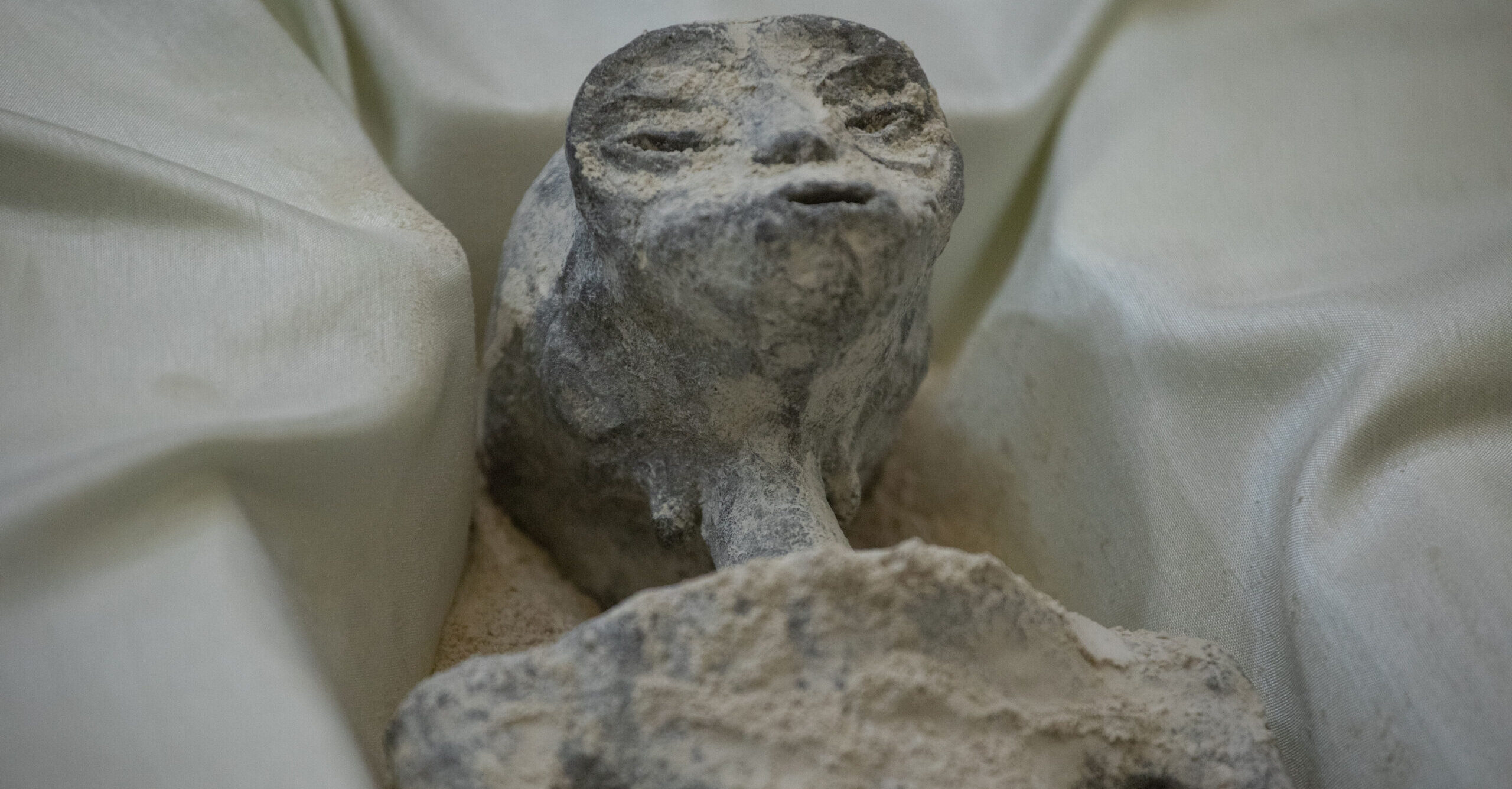 One of the two 'non-human' beings displayed to the media in Mexico. Credit: Getty