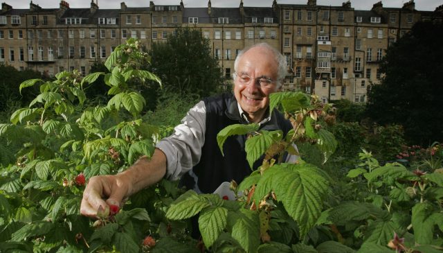 Housing or root vegetables? (Matt Cardy/Getty Images)