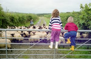 Devon's children are being left behind