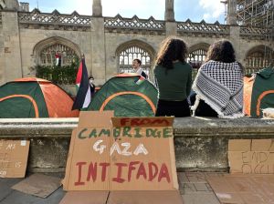 Blame activist academics for Britain's university crisis