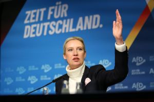 Can Germany's establishment afford to keep the AfD out?