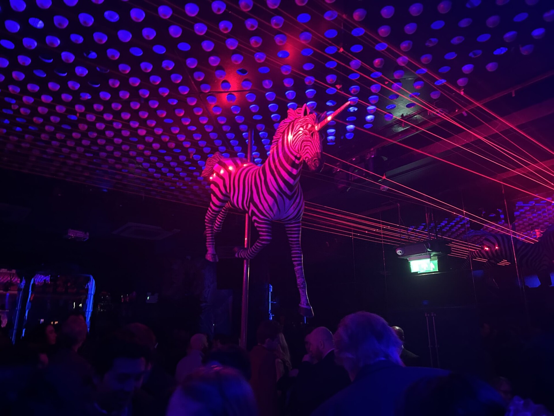 Party animal. Credit: James Bembridge